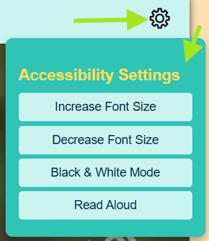 An example of the accessibility menu