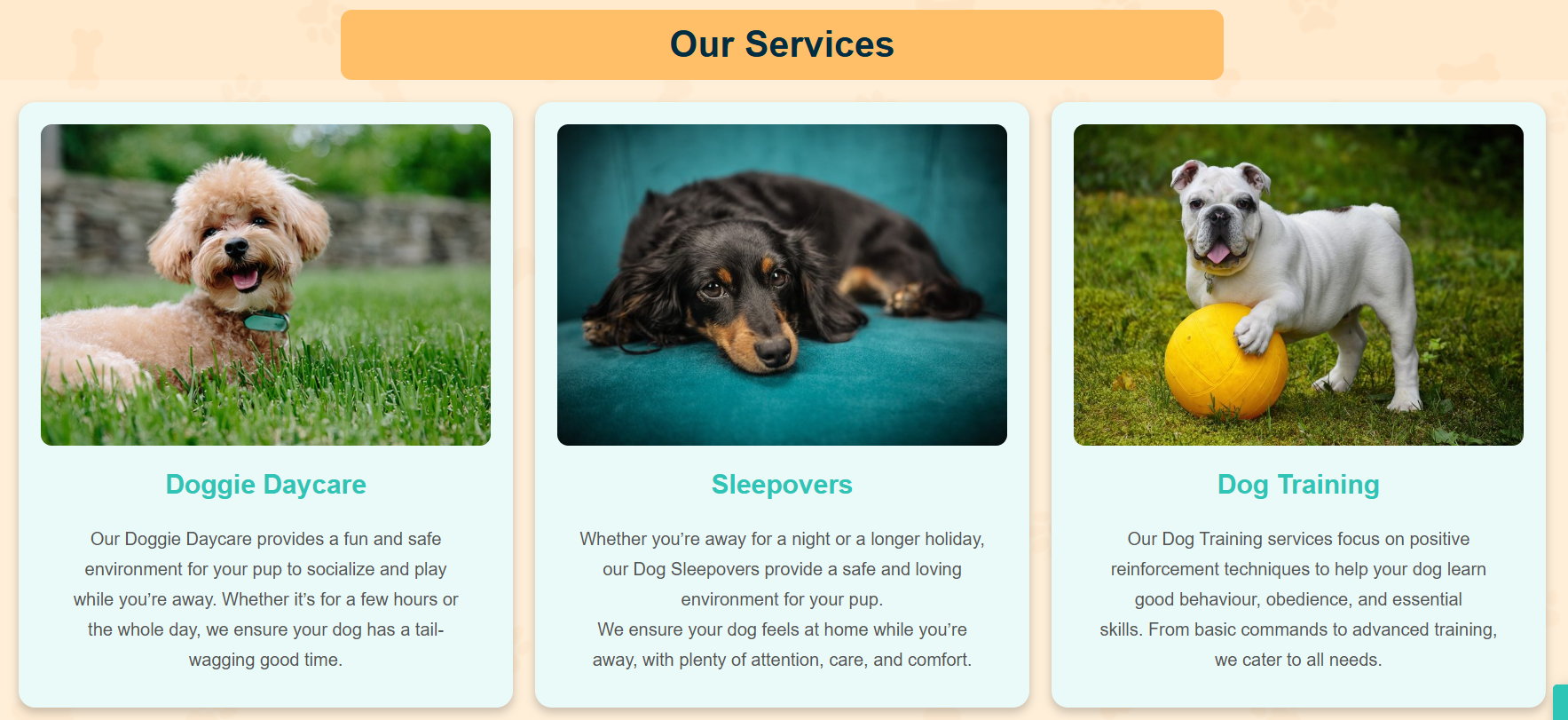 wordpress home page